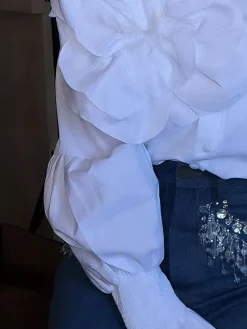 Cotton Elegant Plain Stand Collar Bell Sleeve Shirt With 3D Floral Brooch