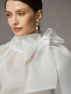 Elegant Plain Bow Long Sleeve Blouse