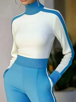 Plus Size Regular Fit Turtleneck Urban Regular Sleeve Color Block Sweater