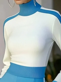 Plus Size Regular Fit Turtleneck Urban Regular Sleeve Color Block Sweater