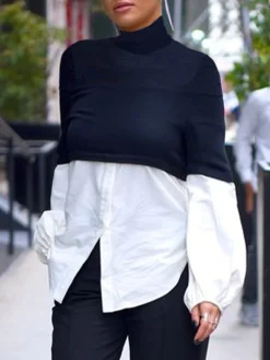 Regular Fit Color Block Urban Turtleneck Long Sleeve Shirt