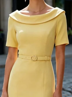 Regular Sleeve Shawl Collar Plain Elegant Dress With No